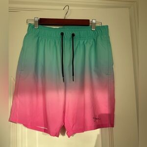 Hollister Teal Swim Shorts